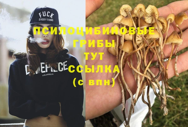 марки nbome Инсар