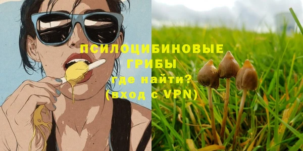 прущая мука Иннополис