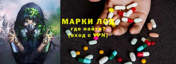 тгк Каменка