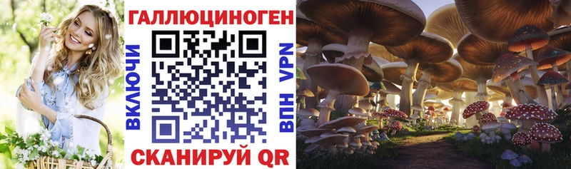 Псилоцибиновые грибы Psilocybine cubensis  Купить закладки  Северобайкальск 